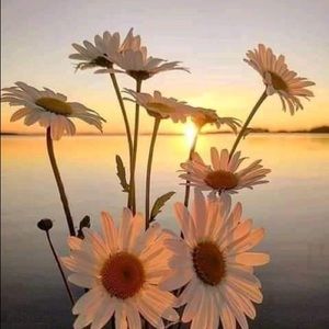 Meet your Posher, Ruina